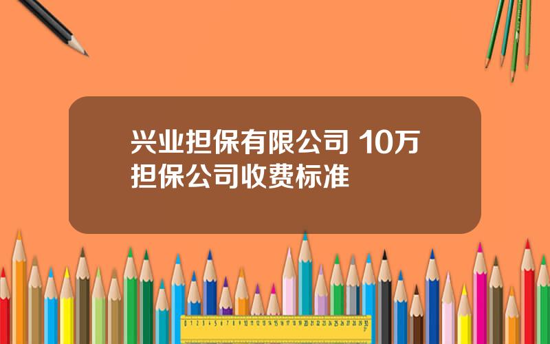 兴业担保有限公司 10万担保公司收费标准